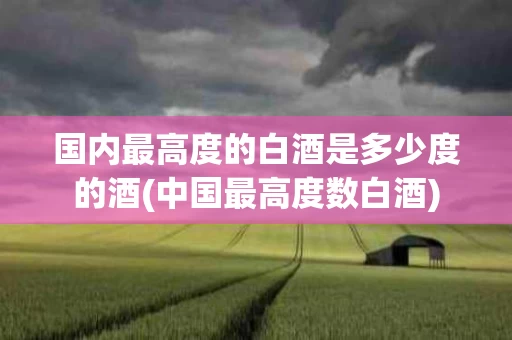 国内最高度的白酒是多少度的酒(中国最高度数白酒)