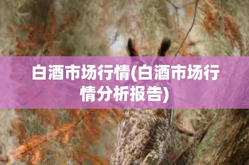 白酒市场行情(白酒市场行情分析报告)