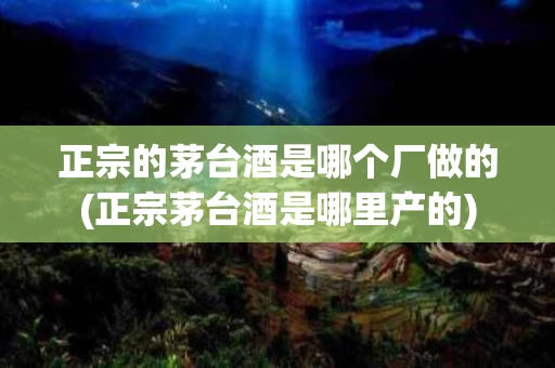 正宗的茅台酒是哪个厂做的(正宗茅台酒是哪里产的)