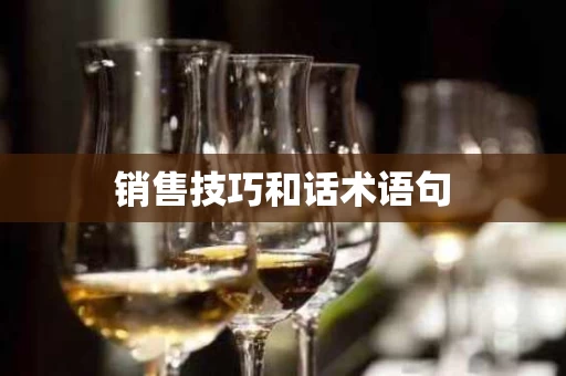 销售技巧和话术语句