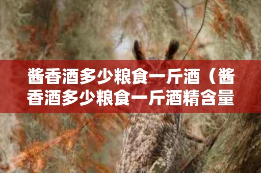 酱香酒多少粮食一斤酒（酱香酒多少粮食一斤酒精含量）