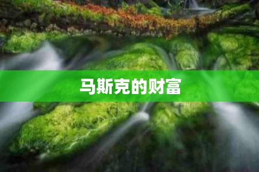 马斯克的财富