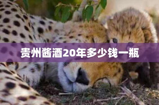 贵州酱酒20年多少钱一瓶