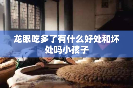 龙眼吃多了有什么好处和坏处吗小孩子