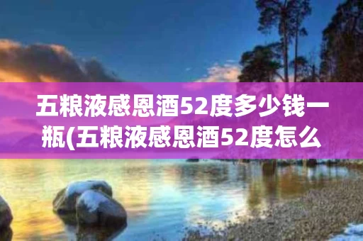 五粮液感恩酒52度多少钱一瓶(五粮液感恩酒52度怎么样)