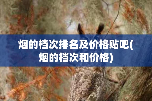 烟的档次排名及价格贴吧(烟的档次和价格)