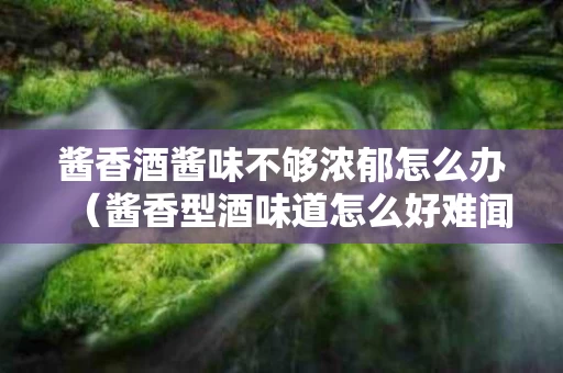 酱香酒酱味不够浓郁怎么办（酱香型酒味道怎么好难闻）
