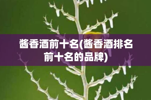 酱香酒前十名(酱香酒排名前十名的品牌)