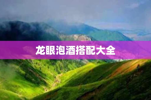 龙眼泡酒搭配大全