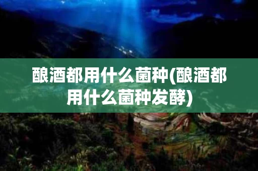 酿酒都用什么菌种(酿酒都用什么菌种发酵)