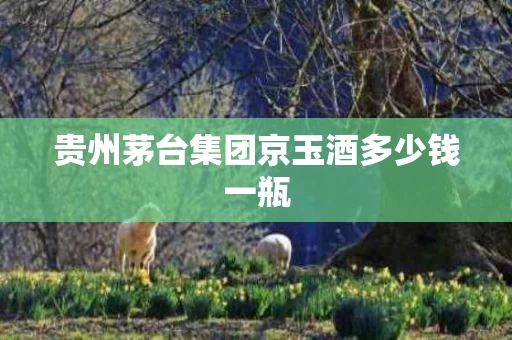贵州茅台集团京玉酒多少钱一瓶