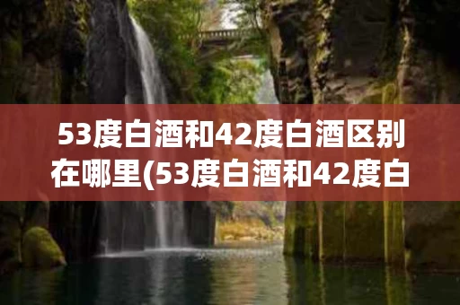 53度白酒和42度白酒区别在哪里(53度白酒和42度白酒区别在哪里呢)