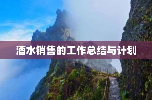 酒水销售的工作总结与计划