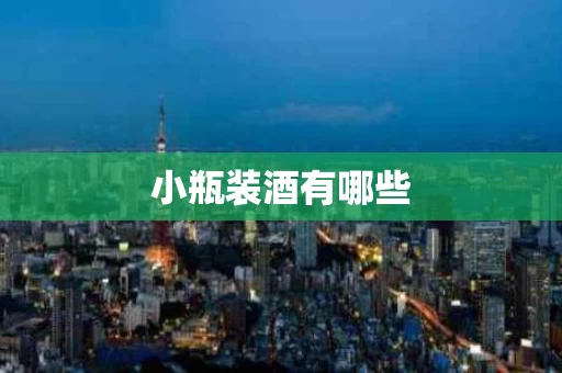 小瓶装酒有哪些