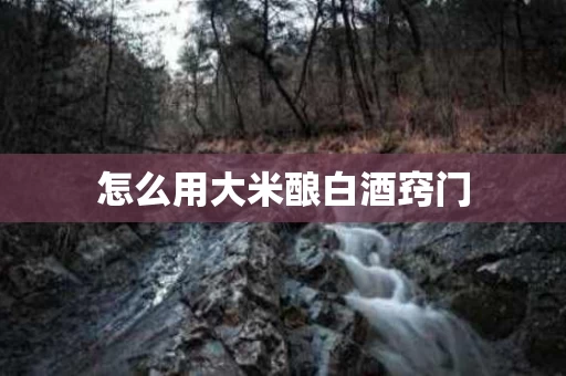 怎么用大米酿白酒窍门