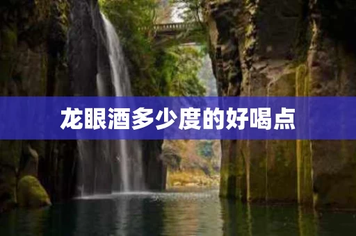 龙眼酒多少度的好喝点