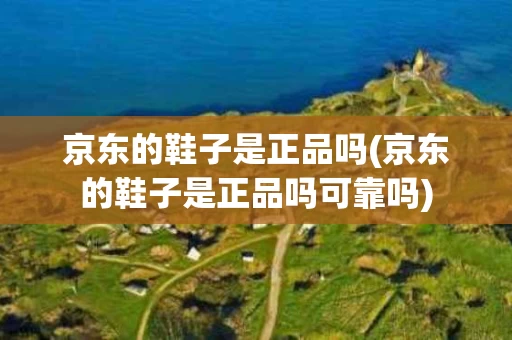 京东的鞋子是正品吗(京东的鞋子是正品吗可靠吗)