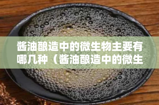 酱油酿造中的微生物主要有哪几种（酱油酿造中的微生物及其作用）