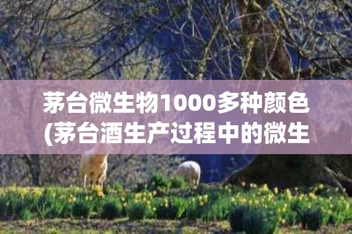 茅台微生物1000多种颜色(茅台酒生产过程中的微生物研究进展)