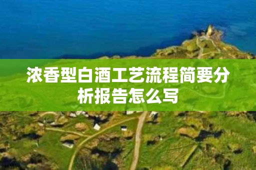 浓香型白酒工艺流程简要分析报告怎么写