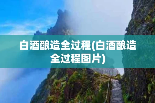 白酒酿造全过程(白酒酿造全过程图片)