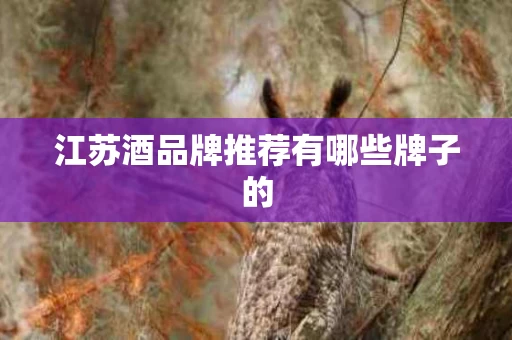 江苏酒品牌推荐有哪些牌子的