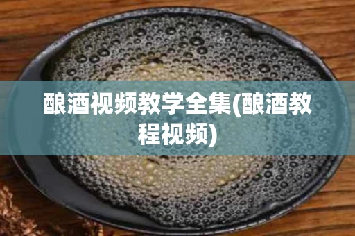 酿酒视频教学全集(酿酒教程视频)