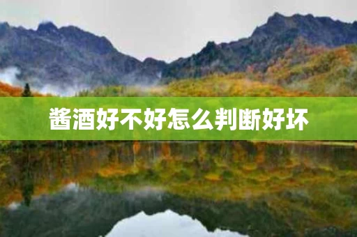 酱酒好不好怎么判断好坏