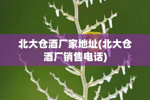 北大仓酒厂家地址(北大仓酒厂销售电话)