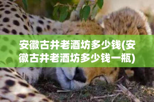 安徽古井老酒坊多少钱(安徽古井老酒坊多少钱一瓶)