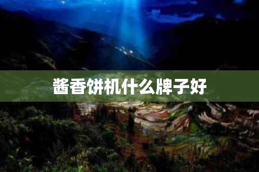 酱香饼机什么牌子好