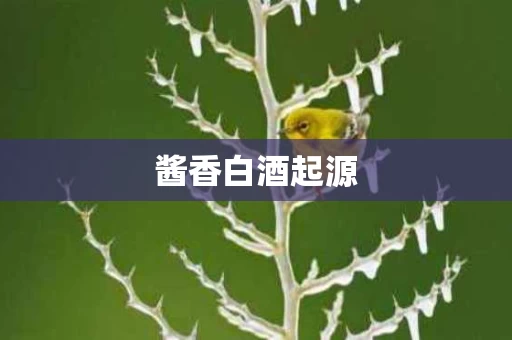 酱香白酒起源