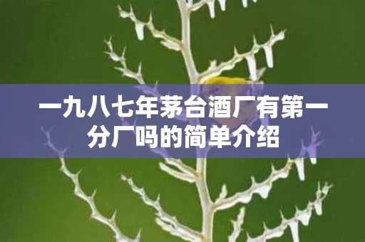 一九八七年茅台酒厂有第一分厂吗的简单介绍