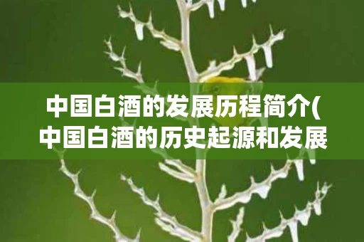 中国白酒的发展历程简介(中国白酒的历史起源和发展历程)