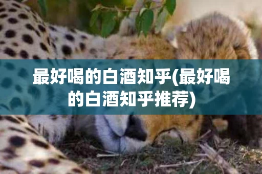 最好喝的白酒知乎(最好喝的白酒知乎推荐)