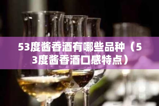 53度酱香酒有哪些品种（53度酱香酒口感特点）