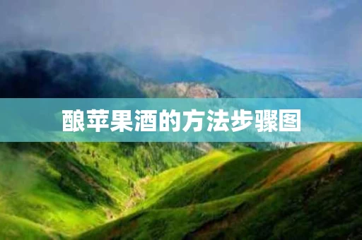 酿苹果酒的方法步骤图