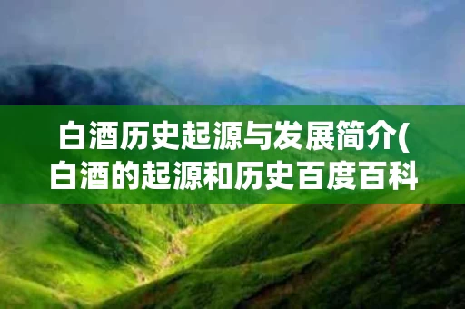 白酒历史起源与发展简介(白酒的起源和历史百度百科)