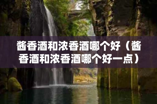 酱香酒和浓香酒哪个好（酱香酒和浓香酒哪个好一点）