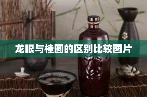 龙眼与桂圆的区别比较图片