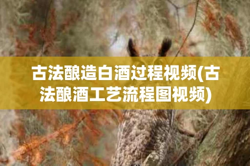 古法酿造白酒过程视频(古法酿酒工艺流程图视频)