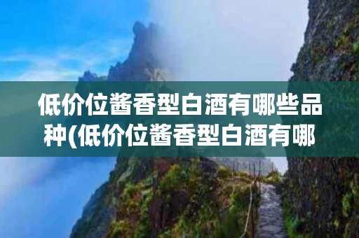 低价位酱香型白酒有哪些品种(低价位酱香型白酒有哪些品种图片)