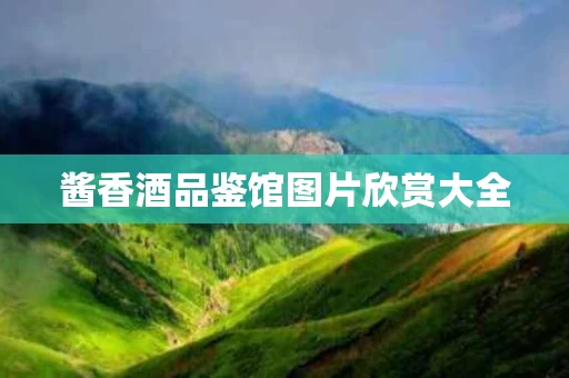 酱香酒品鉴馆图片欣赏大全