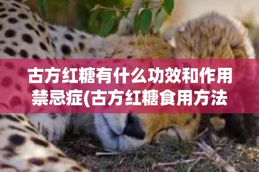 古方红糖有什么功效和作用禁忌症(古方红糖食用方法介绍)