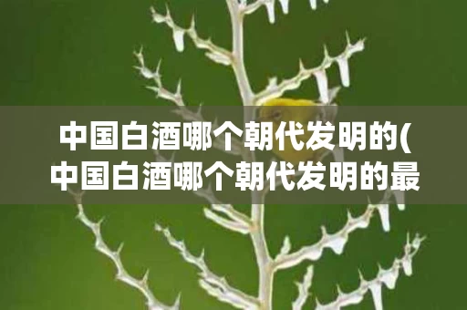 中国白酒哪个朝代发明的(中国白酒哪个朝代发明的最早)