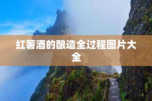 红薯酒的酿造全过程图片大全