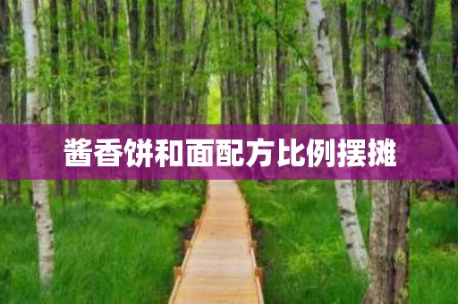 酱香饼和面配方比例摆摊