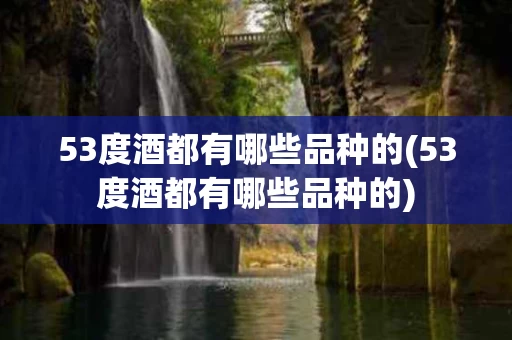 53度酒都有哪些品种的(53度酒都有哪些品种的)