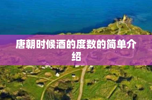 唐朝时候酒的度数的简单介绍