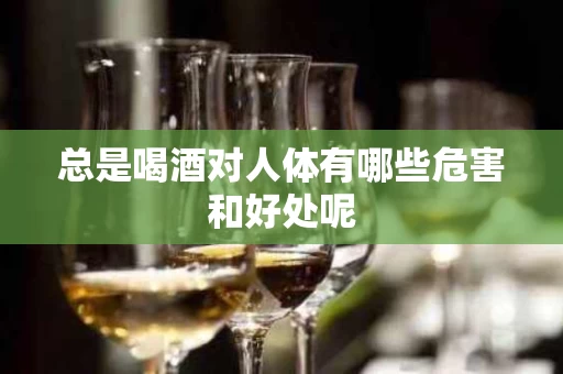 总是喝酒对人体有哪些危害和好处呢